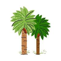 Palm tree isolated on white background. Flat style. Vector illustration