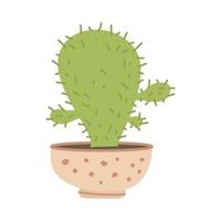 cute cacti and succulent in pot on white background. Vector illustration.