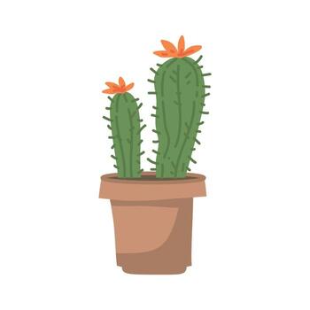 lindos cactus y suculentos en maceta sobre fondo blanco. ilustración vectorial vector