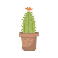 cute cacti and succulent in pot on white background. Vector illustration.