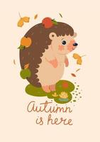 Postcard with a hedgehog and the inscription Autumn is here. Vector graphics