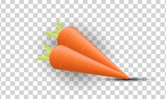 unique 3d orange carrot illustration realistic icon design isolated on vector