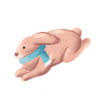 Cute cute rabbit in a blue scarf png