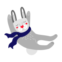 Funny sleeping rabbit in a blue scarf. png