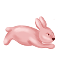 Rabbit animal  hand drawn illustration png