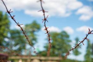 rusty barbed wire on blue sky background. Restriction of freedom concept photo