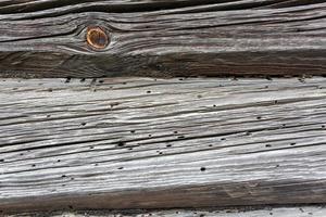 wooden gray frame texture of old house with burrow eaten bark beetle photo