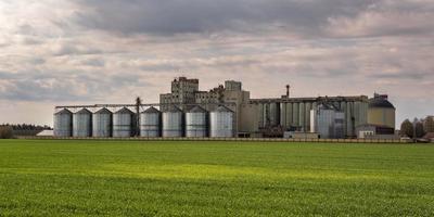 Elevador de granero de silos agrícolas en la planta de fabricación de procesamiento agrícola para el procesamiento, secado, limpieza y almacenamiento de productos agrícolas, harina, cereales y granos. foto