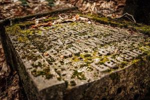 antigua lápida de la primera guerra mundial cubierta de musgo y hojas viejas en el bosque de otoño foto