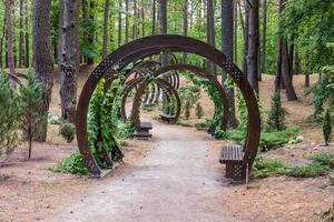 Wooden arches with benches in the city park of rest photo