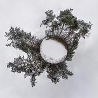 pequeño planeta transformación de panorama esférico 360 grados. vista aérea abstracta esférica en el bosque de invierno. curvatura del espacio. foto