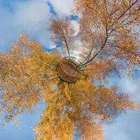 Little planet. Spherical aerial 360 panorama view in golden autumn forest near lake in nice evening photo