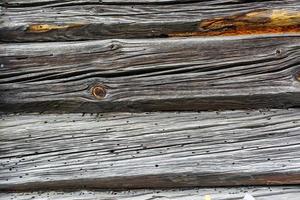 wooden gray frame texture of old house with burrow eaten bark beetle photo