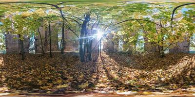 Full seamless spherical cube 360 by 180 degrees angle view panorama inside ancient abandoned destroyed stone tomb in autumn forest in equirectangular projection. Ready for VR AR content photo