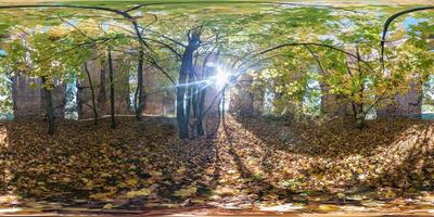 Full seamless spherical cube 360 by 180 degrees angle view panorama inside ancient abandoned destroyed stone tomb in autumn forest in equirectangular projection. Ready for VR AR content photo