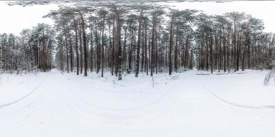 invierno completo esférico 360 grados vista panorámica carretera en un bosque nevado con cielo gris pálido en proyección equirectangular. contenido vr ar foto