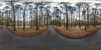 panorama hdri esférico completo 360 grados de ángulo de visión sobre el sendero peatonal asfaltado y el carril bici en el bosque de pinos en proyección equirectangular. contenido vr ar foto