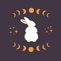 Cute white rabbit with astrological, esoteric elements. Moon phases, stars, magic. Year of the Rabbit vector