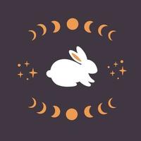 Cute white rabbit with astrological, esoteric elements. Moon phases, stars, magic. Year of the Rabbit vector