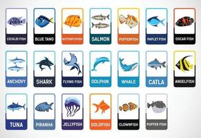 Fish flashcards for kids. Educational cards for preschool. Printable vector illustration