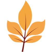 Éléments de feuilles d'automne dessinés à la main png