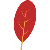Éléments de feuilles d'automne dessinés à la main png