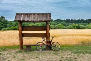 a wooden gazebo bench with bike in a wheat field photo