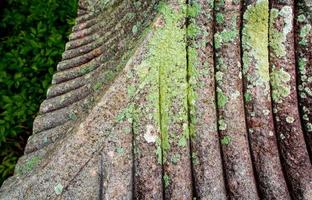 liquen en el techo del pabellón de piedra modelado en el jardín foto