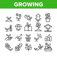 Growing Money Plant Collection Icons Set Vector