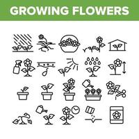 Growing Flowers Plants Collection Icons Set Vector