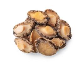 Close up of raw abalone isolated on white background, clipping path cut out. photo