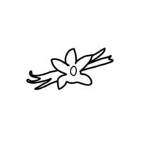 Vanilla food flavor Hand drawn organic line Doodle vector