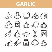 Garlic Spicy Vegetable Collection Icons Set Vector