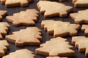 Close up of plain gingerbread Christmas tree cookie on wooden background. photo