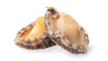 Close up of raw abalone isolated on white background, clipping path cut out. photo