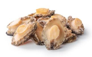 Close up of raw abalone isolated on white background, clipping path cut out. photo