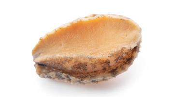 Close up of raw abalone isolated on white background, clipping path cut out. photo