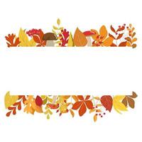 Autumn colorful forest foliage horizontal frame. Seasonal orange, yellow, brown leaves, cute mushrooms, rowan berries. Autumn frame design template. Isolated on white background. vector