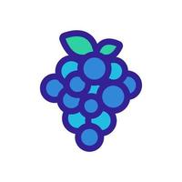 Grapes icon vector. Isolated contour symbol illustration vector