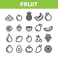 Collection Nature Fruit Elements Vector Icons Set