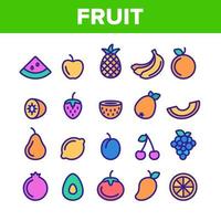 Collection Nature Fruit Elements Vector Icons Set