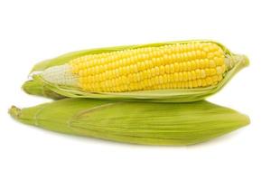 Fresh corn on cobs on white background, closeup photo