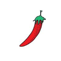Mexican food. Jalapeno. Hand drawn  vector illustration in doodle style.