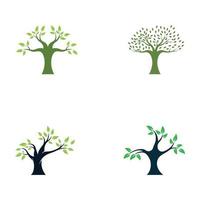 Living tree logo design, using a vector illustration template concept.