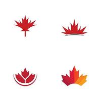 Maple leaf vector illustration design template