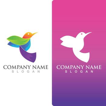 ala halcón pájaro logo plantilla vector