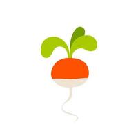 Cartoon red radish isolated. Vector stock illustration of a plant from the genus radish on a white background.