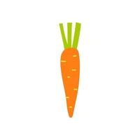 Cartoon carrot isolated. Vector illustration of an orange carrot with green tops. Vegetable culture, root vegetable on a white background.