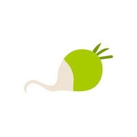 Cartoon green radish isolated. Vector stock illustration of a green radish. A useful root vegetable of the cabbage family on a white background.