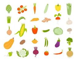 conjunto de dibujos animados de verduras aisladas. ilustración vectorial de diferentes verduras saludables. plantas comestibles en un estilo plano sobre un fondo blanco. vector